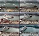 Súhrn fotiek z otáčania mosta Apollo v Bratislave